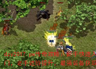dzy2017.pw湥ԣֿţֽǿװȡʽأ