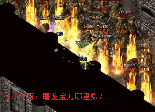 176棺ﱬ