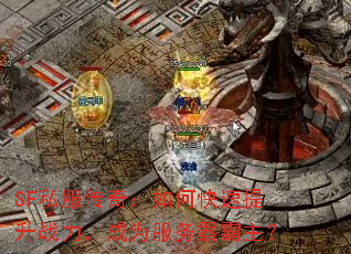 SF˽棺οսΪ