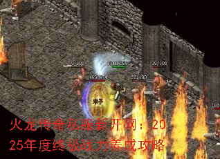 ˽¿2025ռսɹ