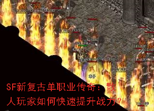 SF¸ŵְҵ棺ɢοս