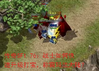 SF1.76սʿο򱦣ư귨½