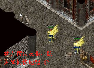 ¿淢ɢοɣ