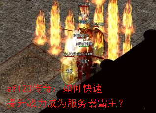 sf123棺οսΪ