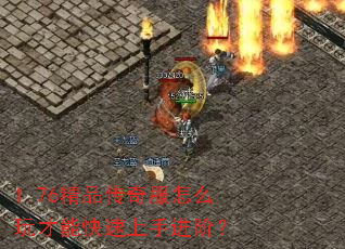 1.76Ʒôֽܿף