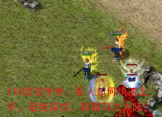 176΢䴫棺ο֣ȿӣư귨½