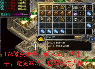 176΢䴫棺ο֣ȿӣư귨½