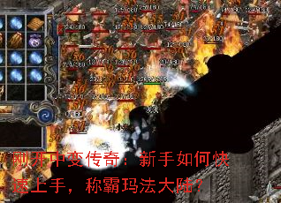 տб䴫棺ο֣ư귨½