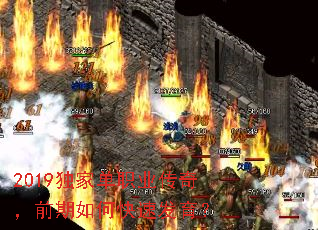 2019ҵְҵ棬ǰοٷ