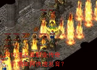 2019ҵְҵ棬ǰοٷ