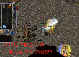 2019µְҵ棺ɢο