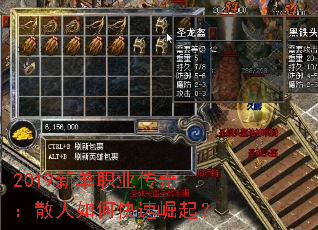 2019µְҵ棺ɢο