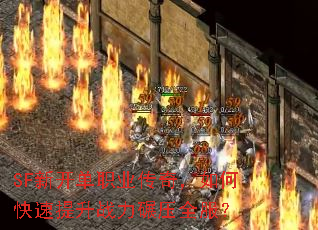 SF¿ְҵ棬οսѹȫ