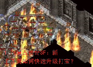 1.76ŴSFֿο򱦣
