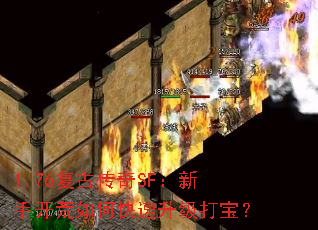 1.76ŴSFֿο򱦣