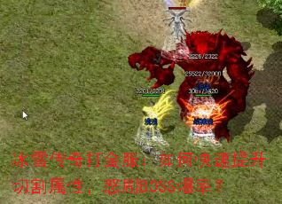 ѩοиԣŭˢBOSSʣ
