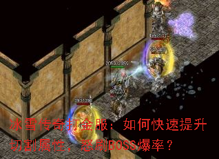 ѩοиԣŭˢBOSSʣ