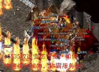 65535ٱ̬棺οսưԷ