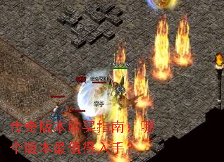 汾ָϣĸ汾ֵ֣