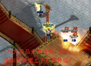 176ƷԪش棺οִ