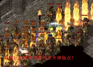 ĴƼָ㣿