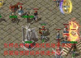 ڴ˽иЧȡ΢ֲ