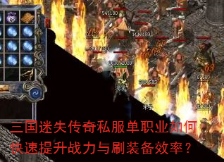 ʧ˽ְҵοսˢװЧʣ