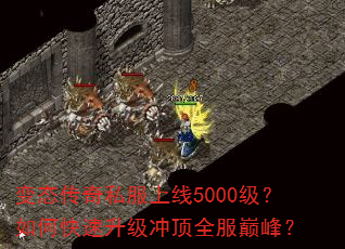 ̬˽5000ο嶥ȫ۷壿