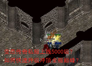 ̬˽5000ο嶥ȫ۷壿