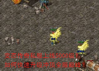 ̬˽5000ο嶥ȫ۷壿