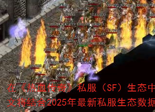 ڡѪ桷˽SF̬УҳٿϢҡ汾Чʵʹ㡣Ľ2025˽̬ݣṩһϵͳѡ弶ɣռ