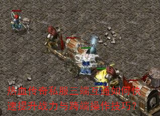 Ѫ˽˻ͨοս˲ɣ