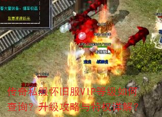 ˽ɷVIPȼβѯȨ⣿