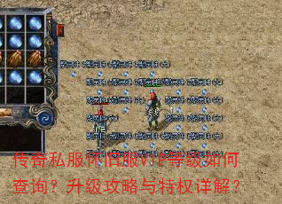 ˽ɷVIPȼβѯȨ⣿