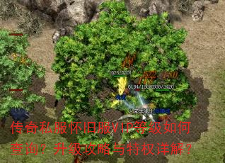 ˽ɷVIPȼβѯȨ⣿