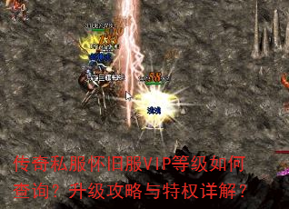 ˽ɷVIPȼβѯȨ⣿