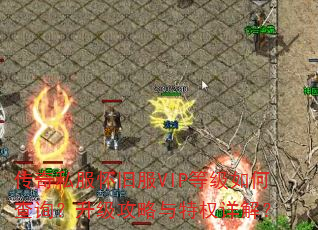 ˽ɷVIPȼβѯȨ⣿