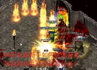神泪私服新手如何快速突破等级瓶颈并获取稀有装备? 神泪私服新手如何快速突破等级瓶颈并获取稀有装备?