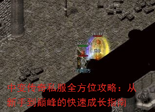 б䴫˽ȫλԣֵ۷Ŀٳɳָ