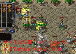 б䴫˽ȫλԣֵ۷Ŀٳɳָ