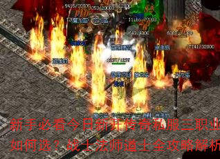 ֱؿ¿˽ְҵѡսʿʦʿȫԽ