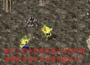 ¿ְҵ˽οְҵ뼼ܴ似ɣ