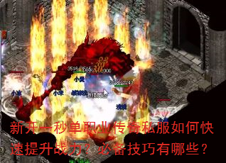 ¿һ뵥ְҵ˽οսرЩ