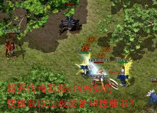 ¿˽sf999οٻȡװͼ飿