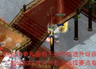 Ѫ˽οȡװսBOSSְҵѡҪЩ