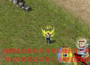 暗黑鉴定单职业传奇私服新手如何快速提升战力与获取顶级装备?技能搭配有哪些技巧? 暗黑鉴定单职业传奇私服新手如何快速提升战力与获取顶级装备?技能搭配有哪些技巧?