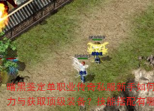 暗黑鉴定单职业传奇私服新手如何快速提升战力与获取顶级装备?技能搭配有哪些技巧? 暗黑鉴定单职业传奇私服新手如何快速提升战力与获取顶级装备?技能搭配有哪些技巧?