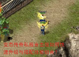 变态传奇私服合击版如何快速升级与搭配技能组合? 变态传奇私服合击版如何快速升级与搭配技能组合?