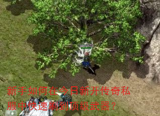 新手如何在今日新开传奇私服中快速刷到顶级武器? 新手如何在今日新开传奇私服中快速刷到顶级武器?