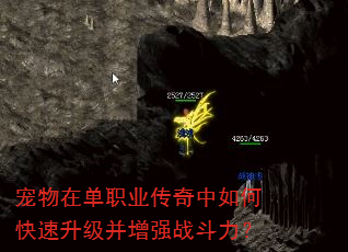 宠物在单职业传奇中如何快速升级并增强战斗力? 宠物在单职业传奇中如何快速升级并增强战斗力?